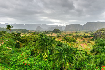 Obraz premium Vinales Valley Panorama - Cuba