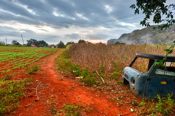 Tobacco Plantation - Vinales Valley, Cuba