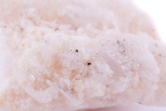 Macro mineral stone amphibolite in quartz on a white background