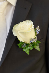 Ansteckblume am Bräutigam