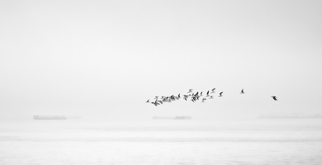 through the haze