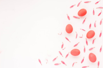 Easter composition. Spring pink flowers and pink easter eggs on white background. Flat lay.