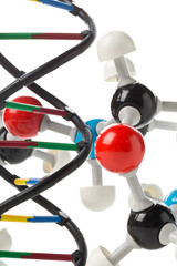 Chemical molecule model and DNA structure model over white background