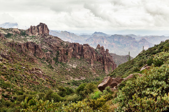 Landscape in desert of Arizona at Peralta Canyon, USA