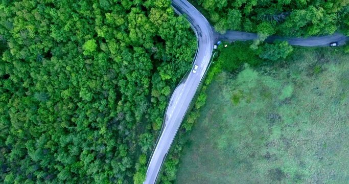 Aerial shot. The forest road passing through the thickets is ove