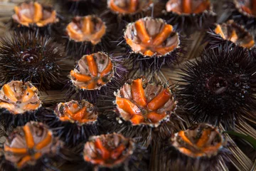 Fototapete Fresh sea urchins © sabino.parente