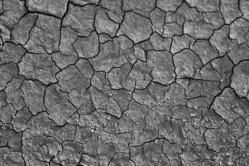 Cracked Dry Earth