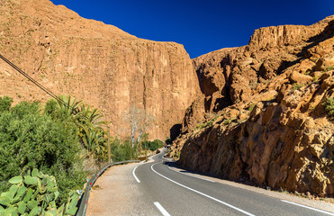 Road to Todgha Gorge, a canyon in the Atlas Mountains. Morocco