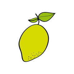 lemon fruit icon over white background. colorful design. vector illustration