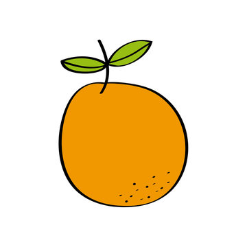 orange fruit icon over white background. colorful design. vector illustration