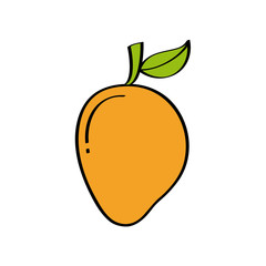 mango fruit icon over white background. colorful design. vector illustration