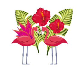 flamigo and tropical flowers and leaves over white background. colorful design. vector illustration