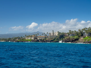 Fototapeta na wymiar Condominiums along the ocean at Poipu, Kauai. 