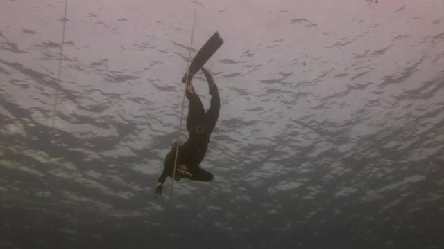 Model free diver in flippers down underwater in Red Sea. Filming a movie. Extreme sport in marine landscape, coral reefs, ocean inhabitants.