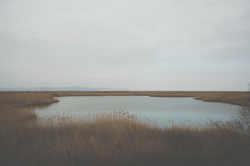 Part of the delta of river Evros, Greece