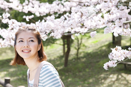 Young woman standing in front of cherry blossom tree