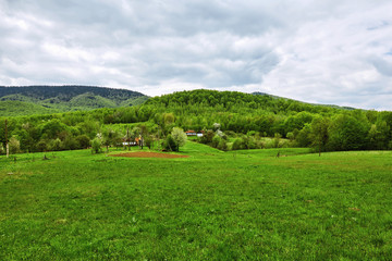 Obraz premium Small village in Carpathian mountains. Summer