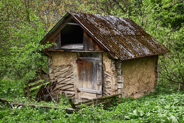 An old dugout in the green forest