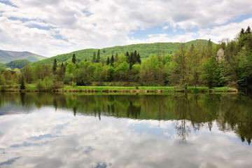 Fototapeta na wymiar Beautiful view of lake in forest. Summer