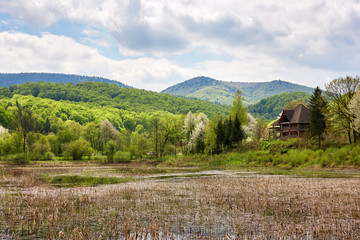 View of overgrown lake in Carpathian mountains