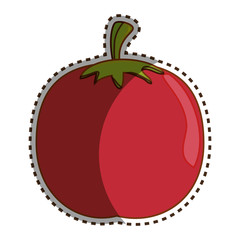 tomato fresh vegetable icon vector illustration design