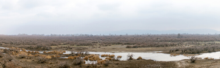 Part of the delta of river Evros, Greece, panoramic view