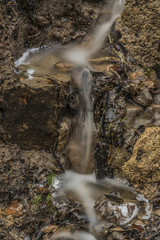 Spring creek in Ceske Stredohori mountains