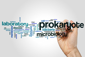 Prokaryote word cloud