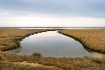 Landscape on delta of river Evros, Greece