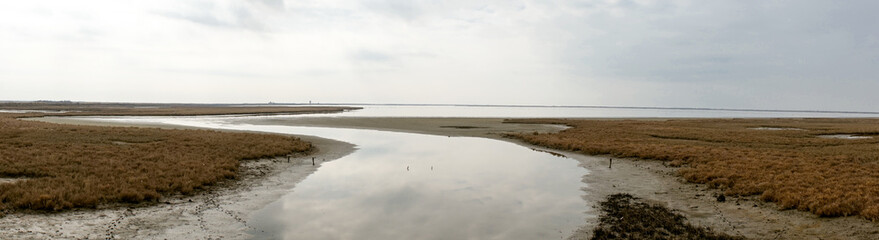 Landscape on delta of river Evros, Greece, panoramic view