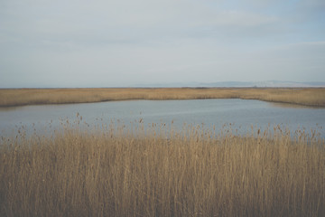 Landscape on delta of river Evros, Greece