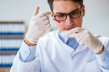 Doctor working with blood samples