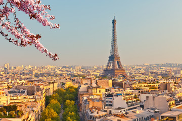 Fototapeta na wymiar View on Eiffel Tower in Paris at spring, France