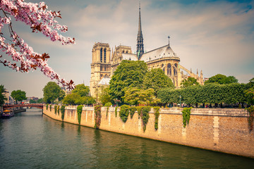 Notre Dame de Paris at spring, France