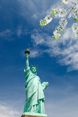 Fototapeta premium Statue of Liberty with blooming cherry on foreground, New York