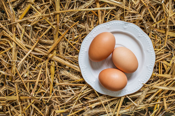 Three  eggs  in a plate on straw background