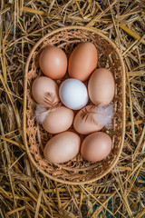 Eggs in wicker basket on table close-up