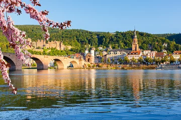 Blick auf Heidelberg im Frühjahr, Deutschland © sborisov