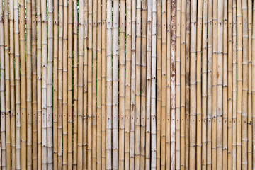Bamboo wall, Bamboo fence background.