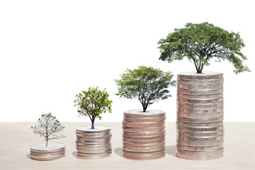 Concept of money tree growing from coins, isolated on white background, with copy space for adding more text. (Clipping path included for design work)