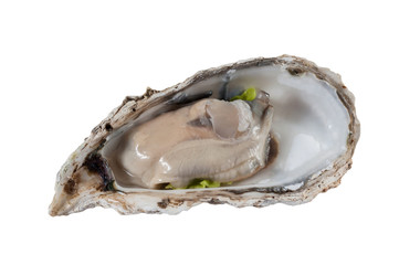 Fresh opened oyster on white background