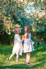 Adorable girls in blooming apple garden on sunny spring day