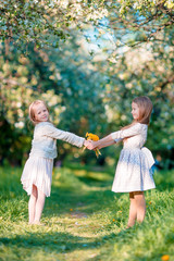 Naklejka na ściany i meble Beautiful girls in blooming apple tree garden enjoy warm spring day
