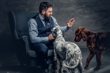 Bearded male and two Irish setter dogs.