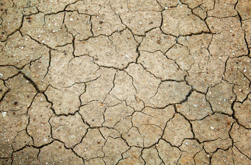 Dry and cracked earth for background