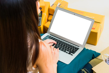 Young casual beautiful women entrepreneur using her laptop on couch with blank screen