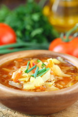 Traditional Russian Ukrainian vegetable borscht soup
