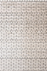 Obraz na płótnie Canvas white bricks in the wall