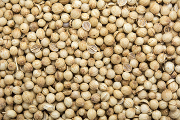 Dried coriander seeds background