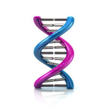 3d illustration of blue an purple  DNA molecule icon